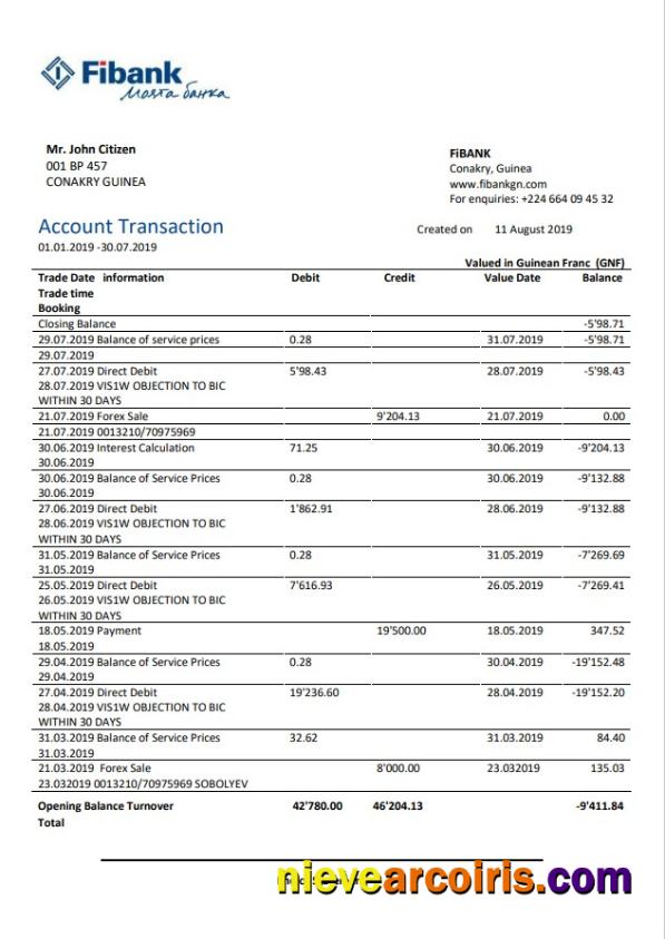 Guinea Fibank bank statement